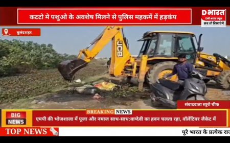 बुलंदशहर कट्टू में पशुओं के अवशेष मिलने से पुलिस महकमें में हड़कंप